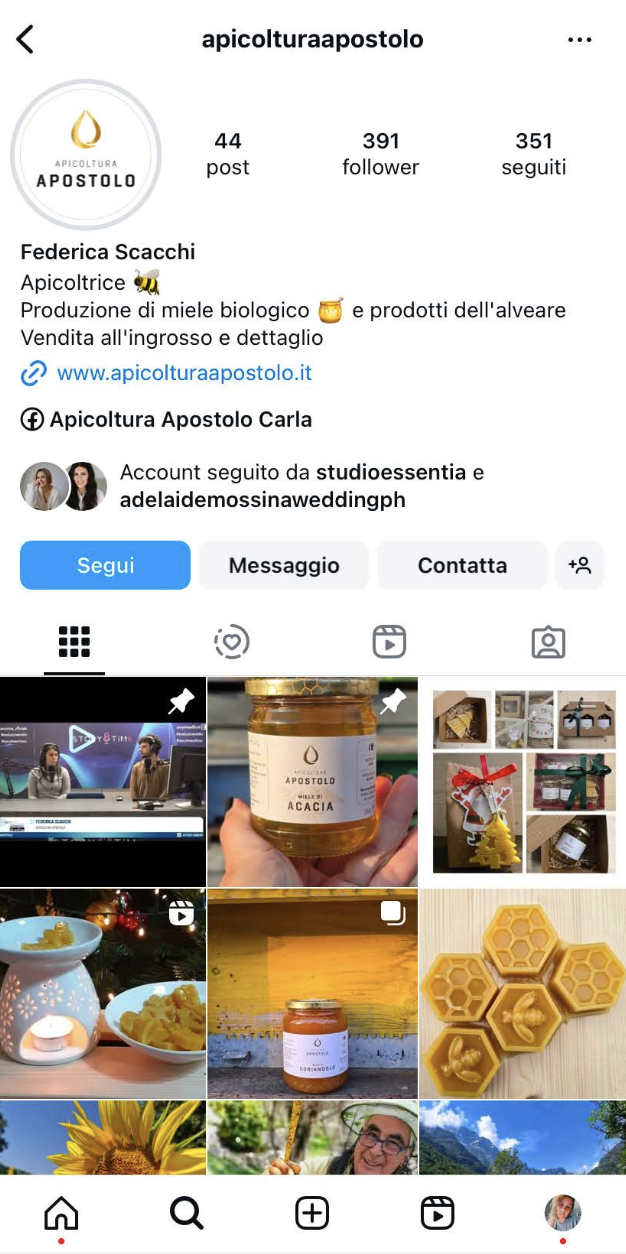 Profilo Social IG Apicoltura Apostolo Prima Instagram Strategy | Strategia social